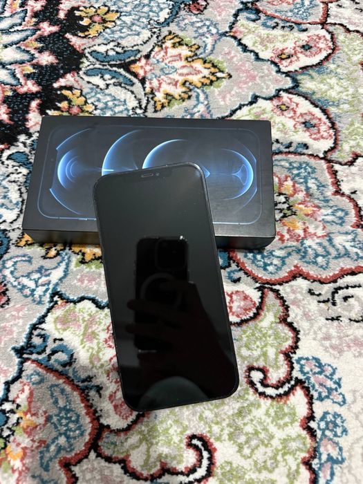 iPhone 12 Pro Max