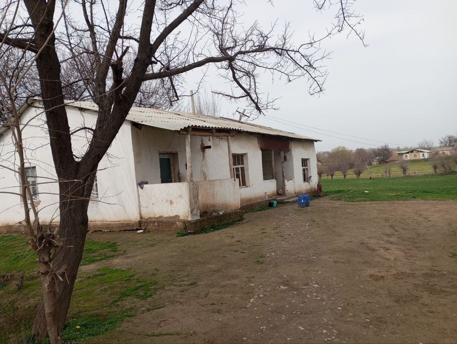 Koʻchmas mulk tayyor dala hovli