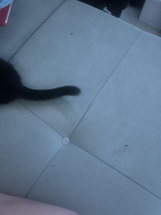 диван раскладной