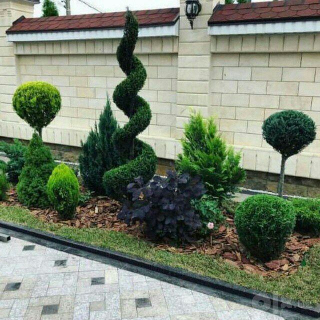 gazon.lanshaft.arch.kesish.xizmatlari.mavjut
