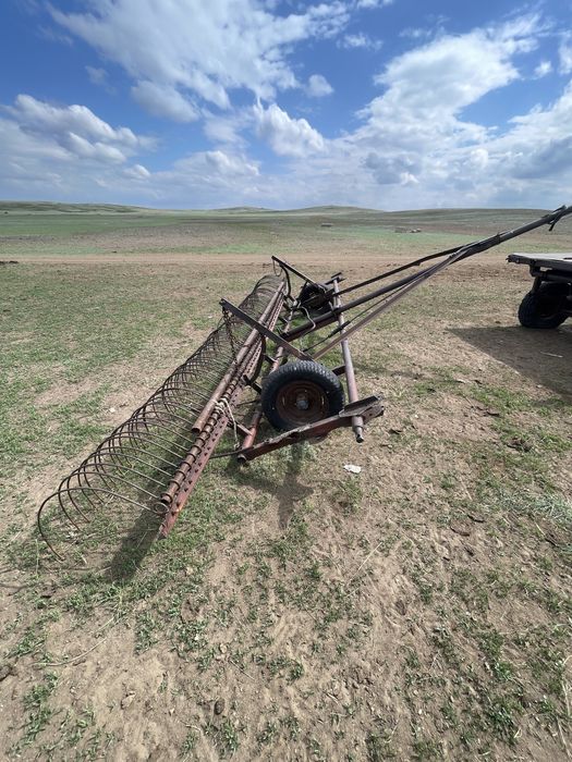 Мтз 80 с куном.