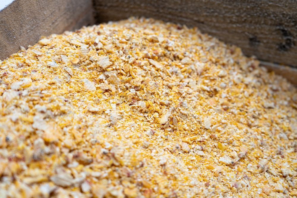 moară aplatizor cereale gx 50