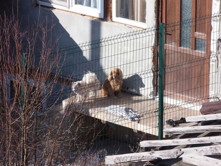 Olympus SP-720UZ 14 mPx