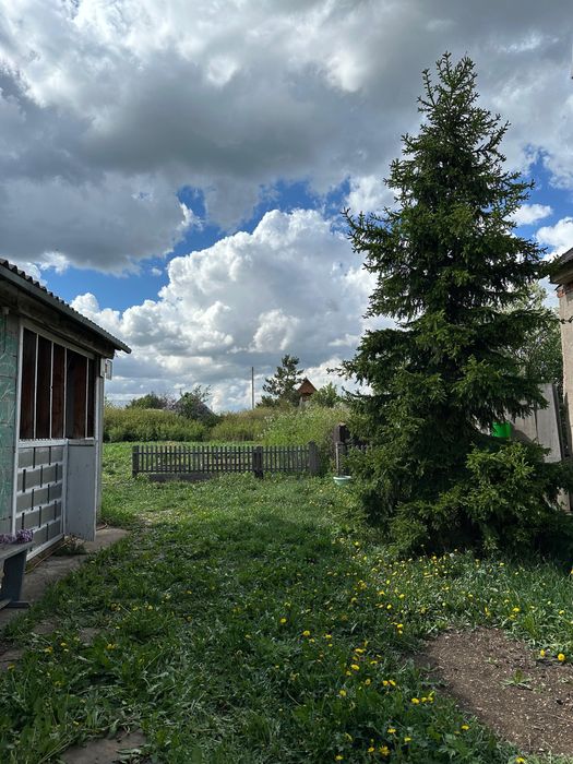 Дача 12 соток с насаждениями