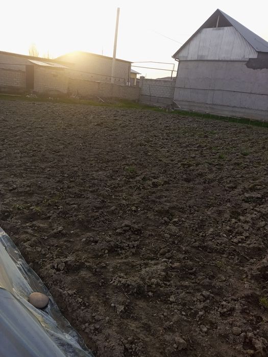 Тошкет шахрида  1 сотихи йер 11минг$ доллордан курук  йер сотилади