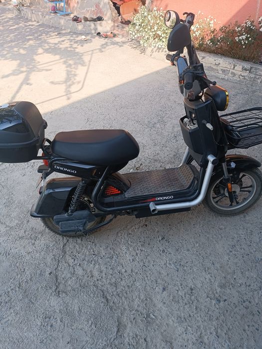 sukuter  Drongo Xolati alo