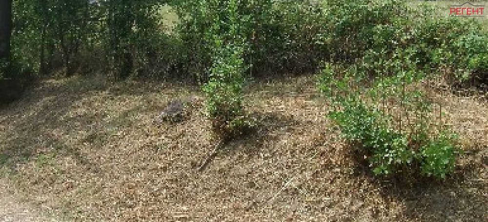 Парцел-Петкова нива-3200м²