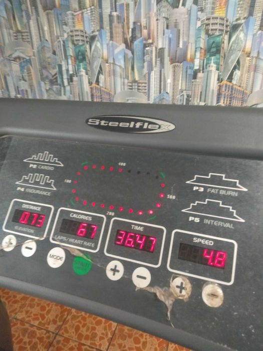 Беговая дорожка Steel Flex