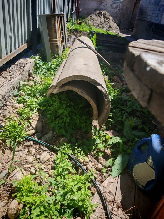 Срочно отдам лотки