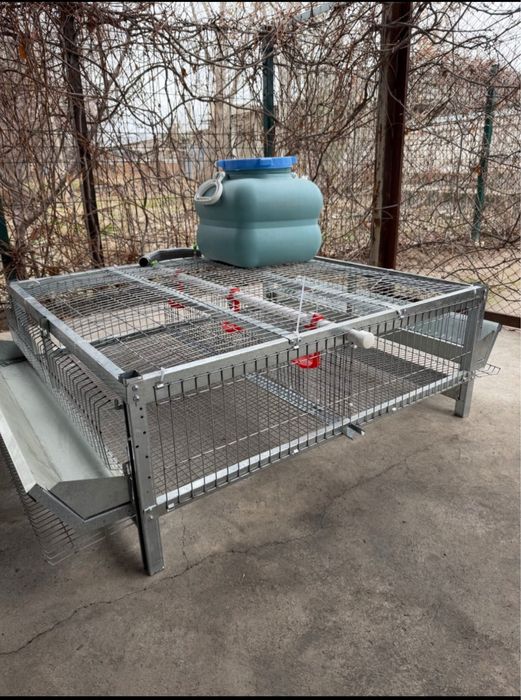 Клетка для перепёлов