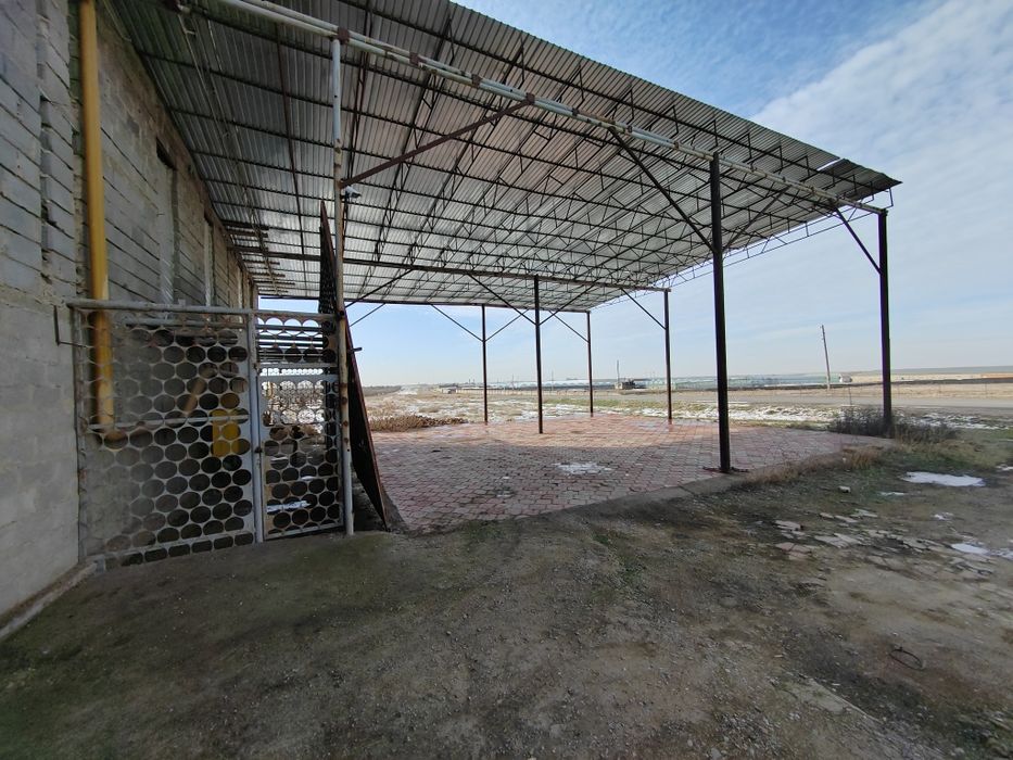 Теплица в аренду