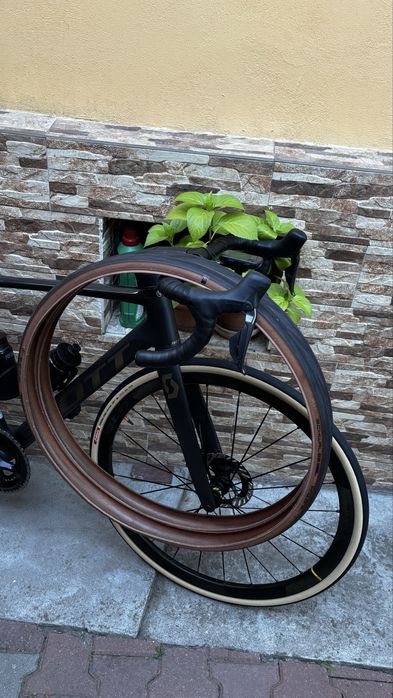 Schwalbe Pro One