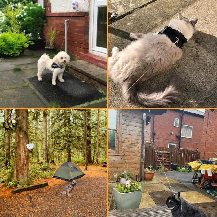 Каишка - повод за двор и градина малки и средни кучета