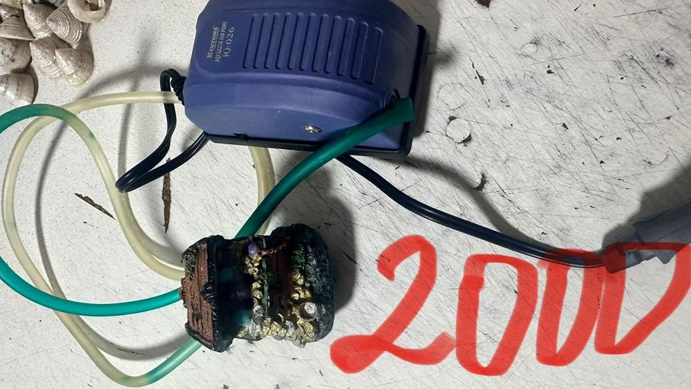 Продам аквариум со всеми аксессуарами