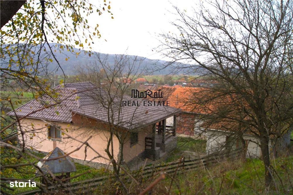 Casa si teren in Vata de Jos, Ocisor