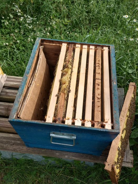 Stupi de vânzare folositi