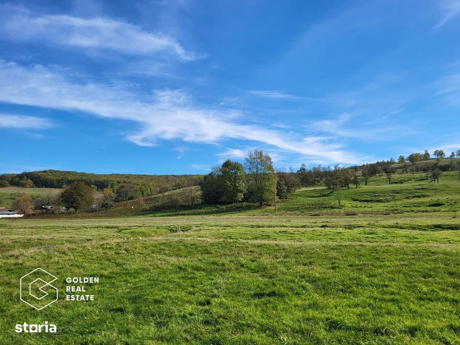 Teren intravilan 2014 mp, localitatea Cuvesdia