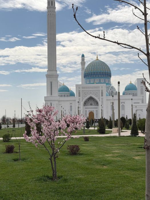 Гид-экскурсовод по Самарканду