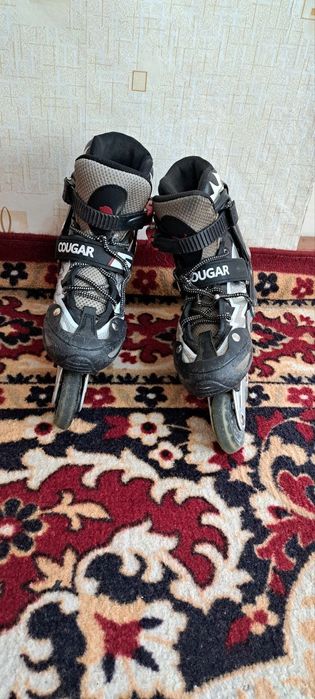 Rolik sotiladi cougar