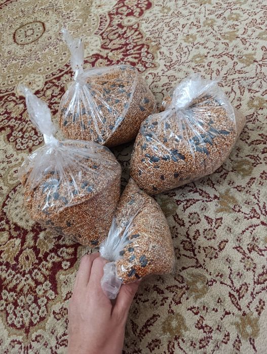 Корм для птиц, попугаев