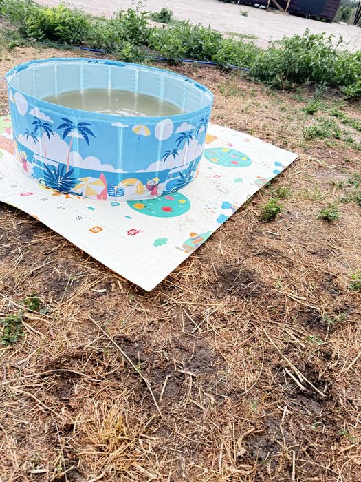 Детский коврик и бассейн