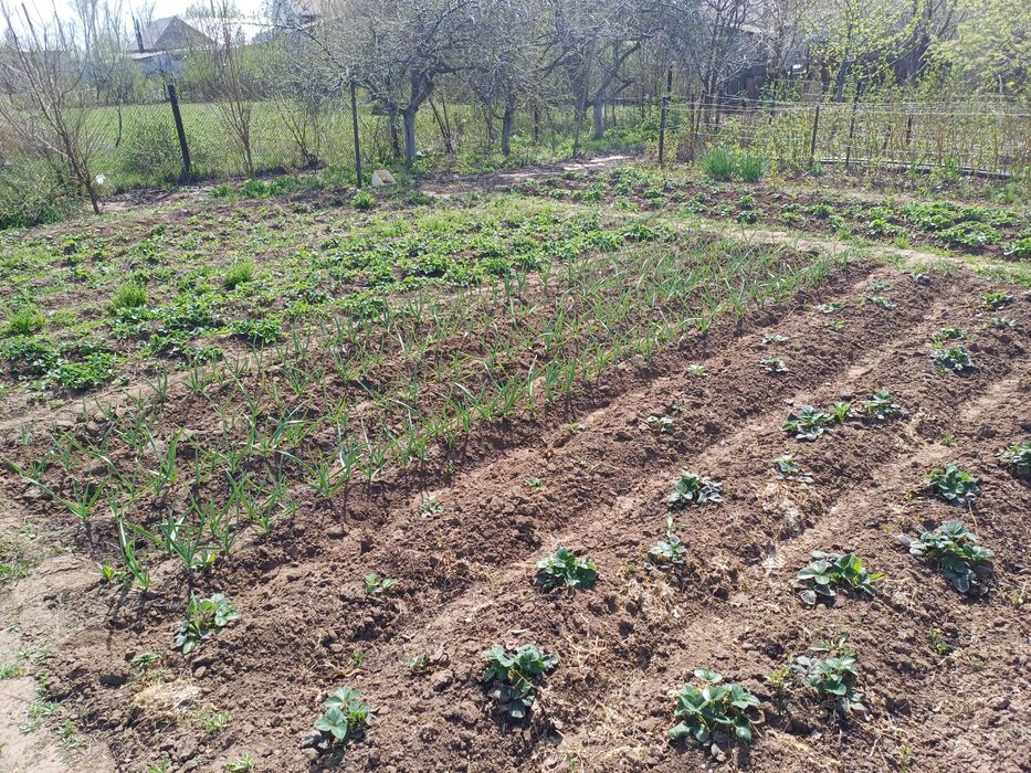 Продам дачу. ст. Хуторок