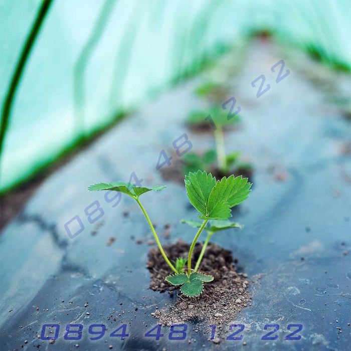 Дълъг тунел оранжерия найлон зелен обръчи парник отглеждане растения