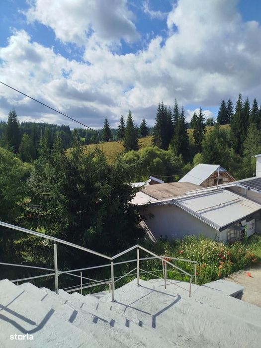 Camin de batrani + Ferma de sturioni/Saru Dornei