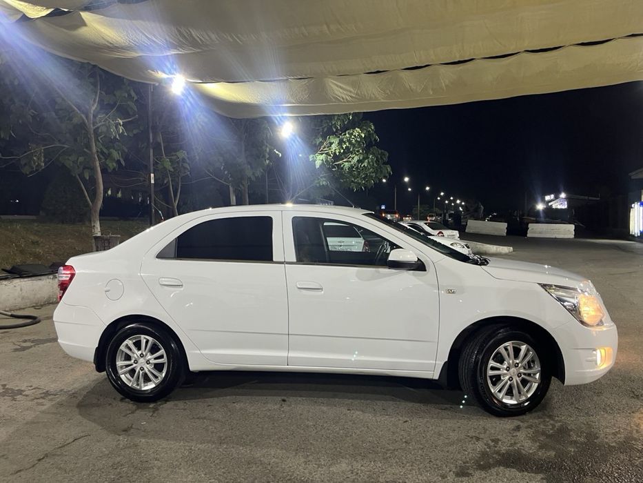 Oq Cobalt 2022 ideal