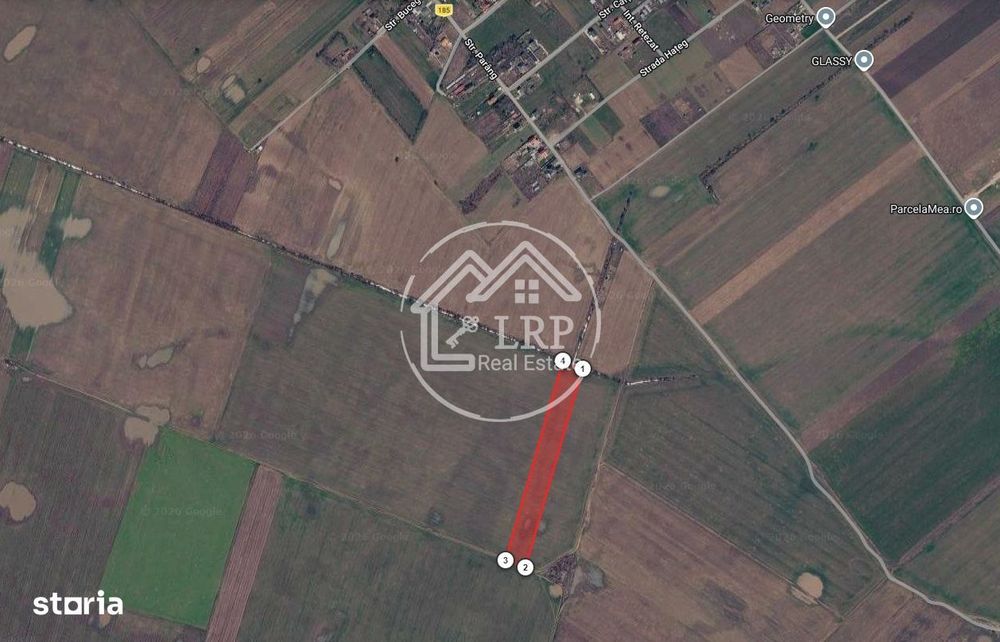 Teren Intravilan 20.000 mp Creata Dascalu, T66– dubla deschidere