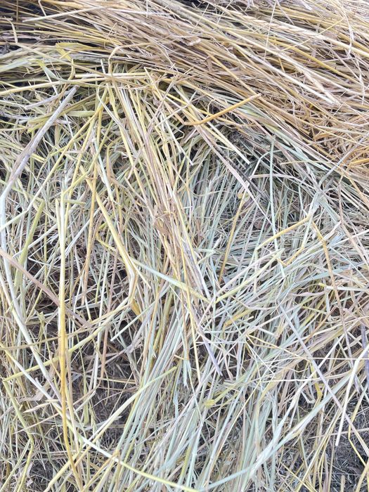 Продам сено самовывоз