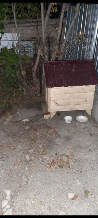 Продам будку для собаки