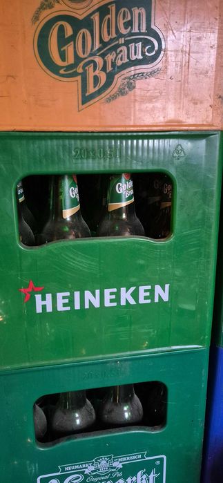 Navete bere ciucasi, gloden