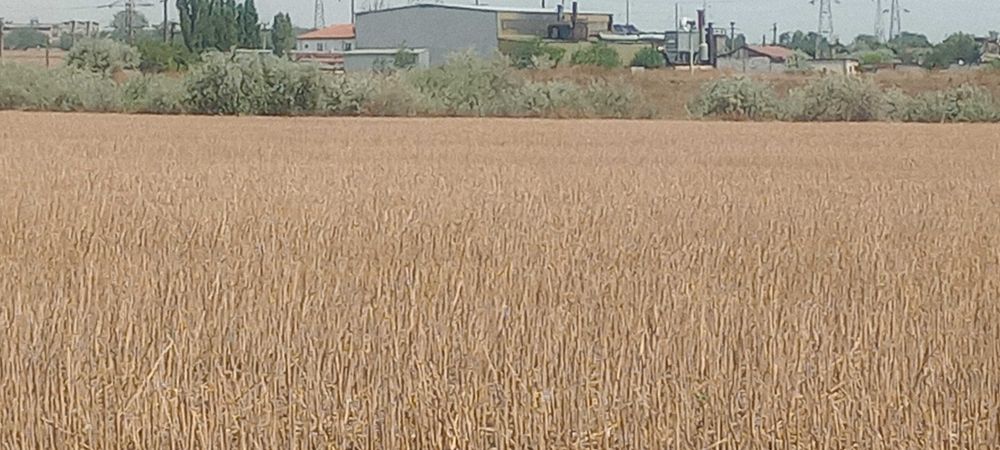 Teren extravilan Năvodari 8400 mp