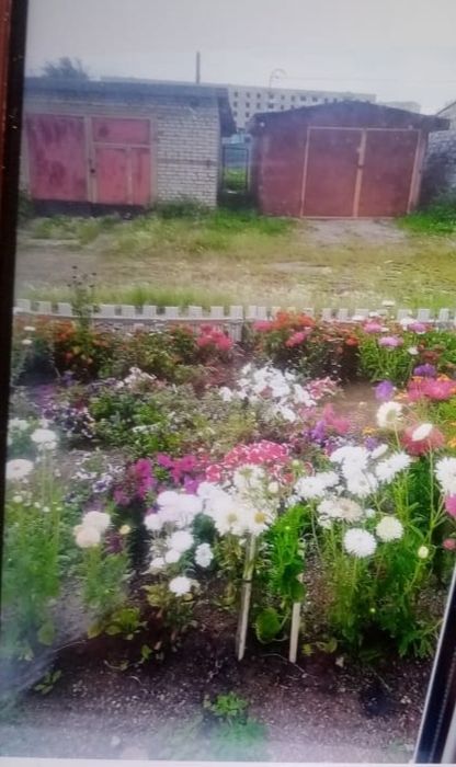 3 х комнатная квартира