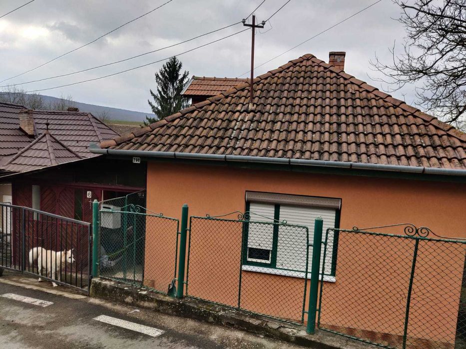 Locuinta 2 Camere, Terasa Acoperita, Bucatarie Vara, Pivnita, Anexe