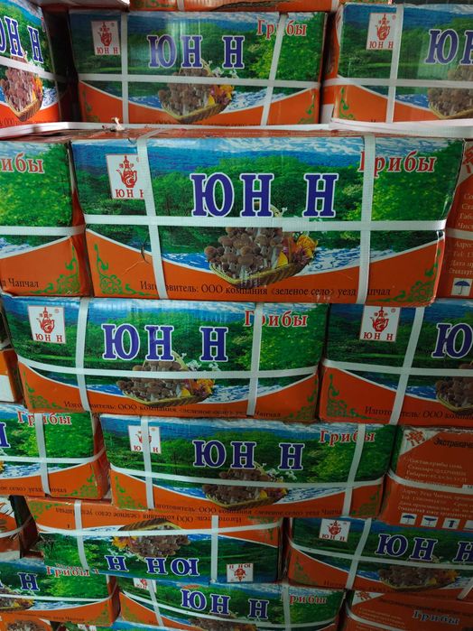 Грибы соленые (маслята) ЮН Н