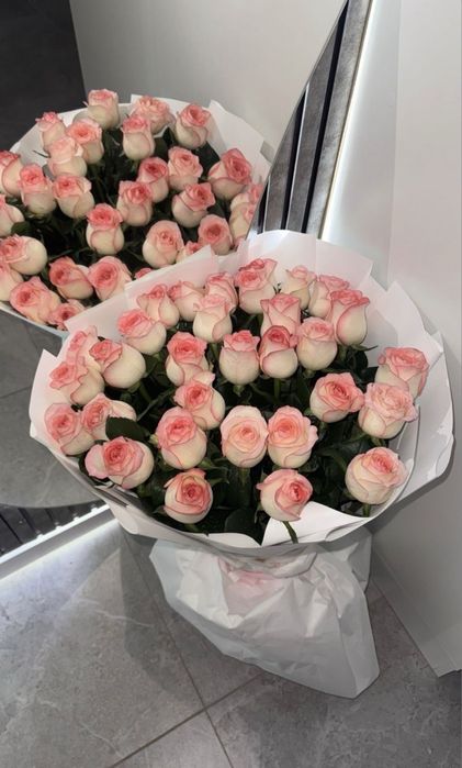 31. роза свежый саудасы бар