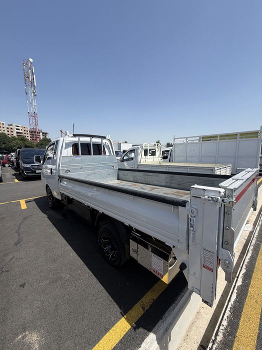 Hyundai porter 2 ev