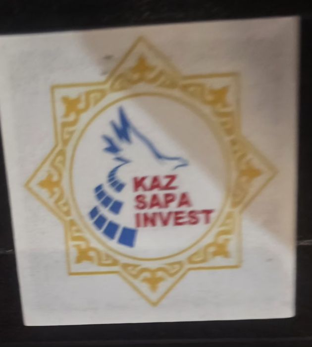 Инвалидная коляска "Kaz sapa invest"