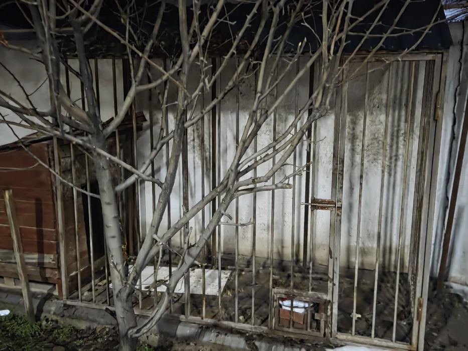 Вальер для собак