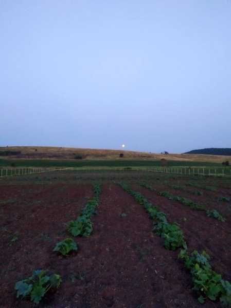 Парцел в Твърдица 105239