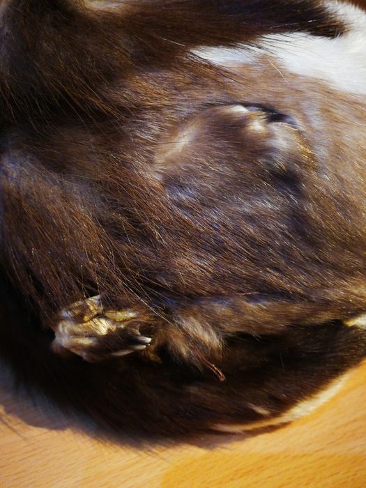 Caciuli blana naturala