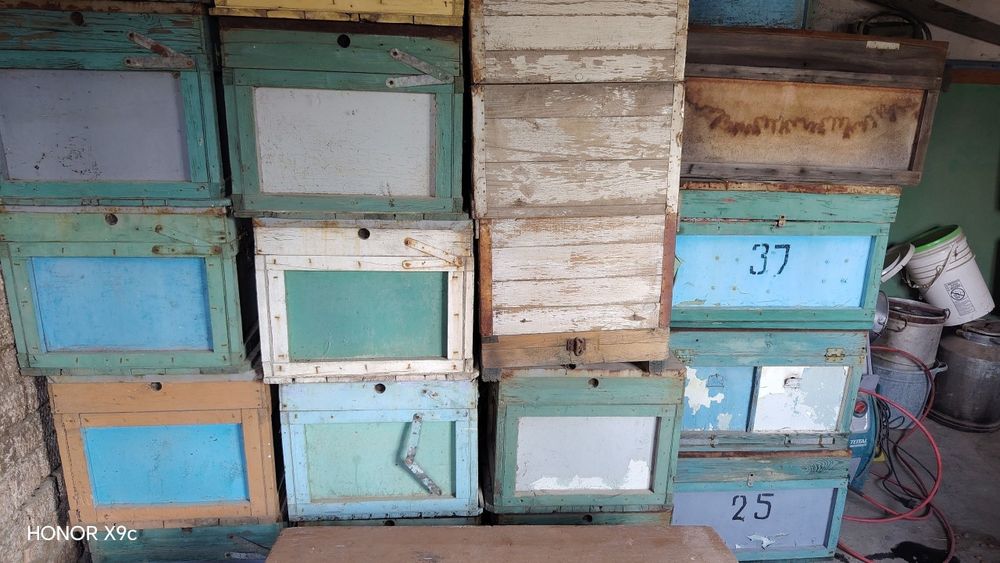 Улики Пасика Инвентарь