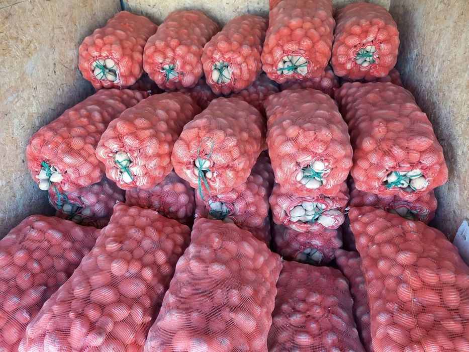 Картоп бар сбежи