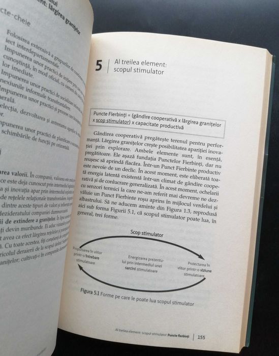 Puncte Fierbinti Lynda Gratton ed Publica business inovatie companii