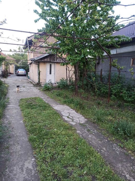 Închiriez casă cu o cameră, baie și bucătărie