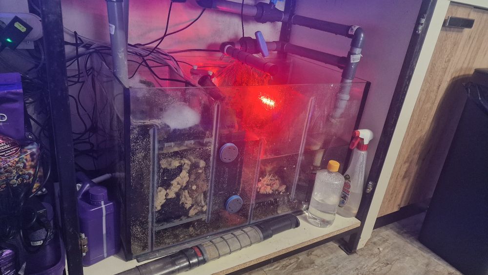 Соленоводен аквариум