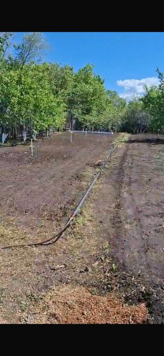 Дача 1 сады расширенная