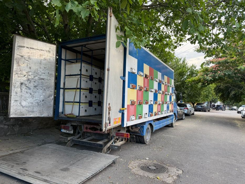 Vand Camion apicol Mercedes Atego
